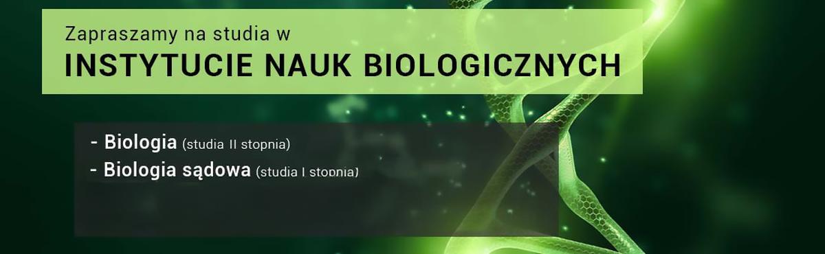 Nasza oferta kierunków studiów